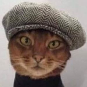 Meet your Posher, Inga